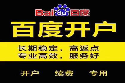 百度广告推广案例解析